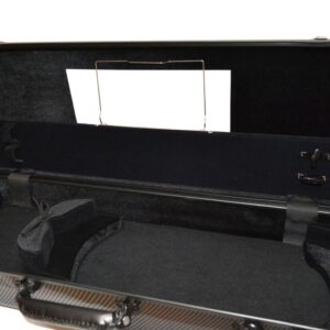 Carbon Altvioolkoffer  C